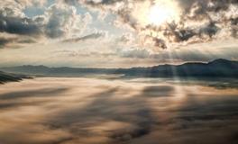 孕妇梦到蜜蜂是什么意思