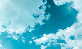 孕妇梦到树开花很漂亮