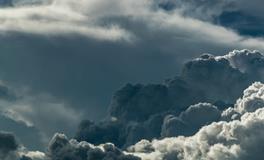 孕妇梦到吃小西红柿