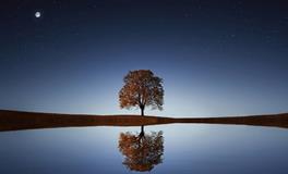 孕妇梦到好多柑子