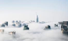 孕妇梦到李子树