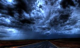 孕妇梦到一颗大树