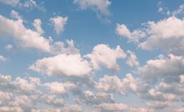 孕妇梦到白玉米