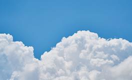 孕妇梦到万年青