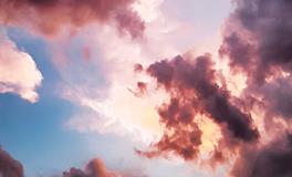 孕妇梦到吃番茄