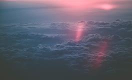 孕妇梦到偷番茄