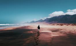 孕妇梦到满树桃子