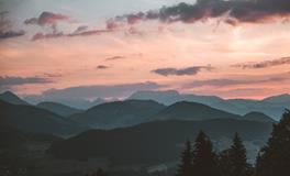 孕妇梦到青苹果树