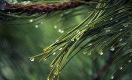 梦见别人相亲是什么意思