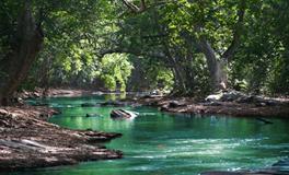 梦见穿孝衣办丧事