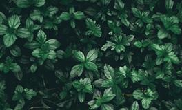 梦见别人给自己打针