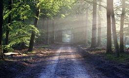 梦到自己长胡子