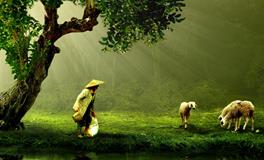 梦到小时候住的老房子