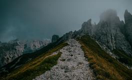 梦见收稻谷是什么意思