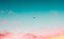 梦见玻璃碎了预示着什么