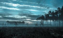 梦到自己抱着一个西瓜