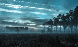 梦见吃甘蔗是什么意思