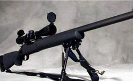 狮子座专属吃鸡武器