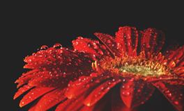 梦见小孩尿到自己身上