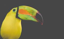 孕妇梦见火车是什么意思