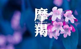 摩羯座喜欢的音乐类型