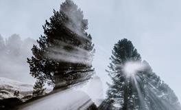 做梦梦到很残暴的杀戮