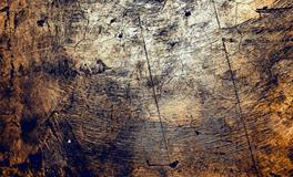 梦到和陌生女人恋爱