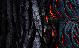 做梦梦到身体不能动