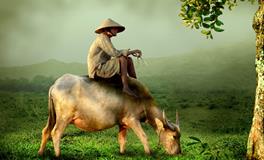 梦见父亲流血什么预兆