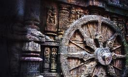 做梦梦到蛆虫爬到脚上