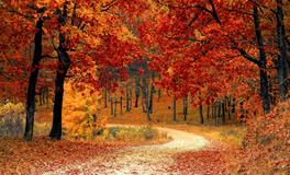 梦见和闺蜜吵架