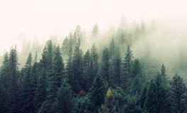 梦见自己和妹妹吵架