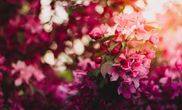 梦见和好朋友吵架决裂