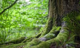 梦见和亲兄弟吵架