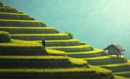 梦到和情人一起