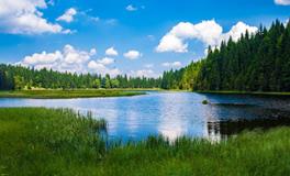 梦见情人的老婆