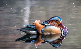 梦见抢劫是什么意思