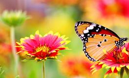 梦见单位领导是什么意思