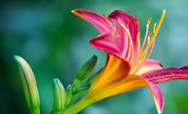 梦见原来单位的领导