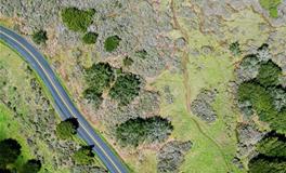 梦到我主动吻别人