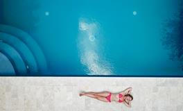 梦到刺猬是什么意思