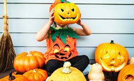 梦到地里好多西瓜