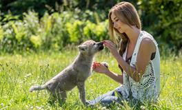 生肖鼠求财吉凶与开运方法