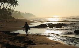 生肖马祝福语大全