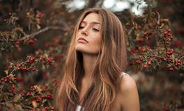 属狗人如何走出失恋阴影