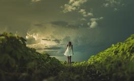 属兔的女人一生命运吉凶