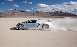 属狗车牌号码吉凶数字