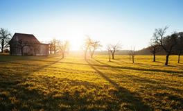 属兔人运气不好怎么化解