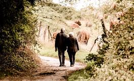 梦见先人是什么意思