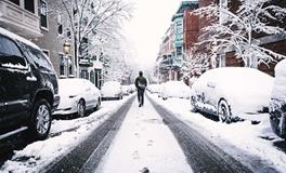 属猪男人的性格和脾气